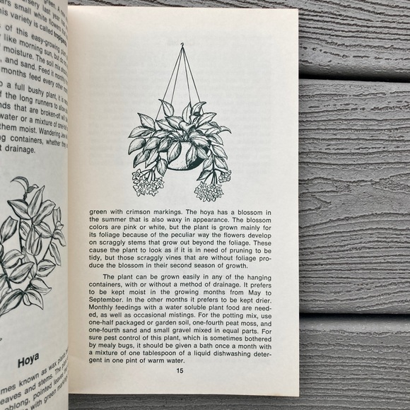 1973 Gardening with Hanging Baskets Rex E. Mabe Vintage Gardening Book Gift Idea - Picture 4 of 12